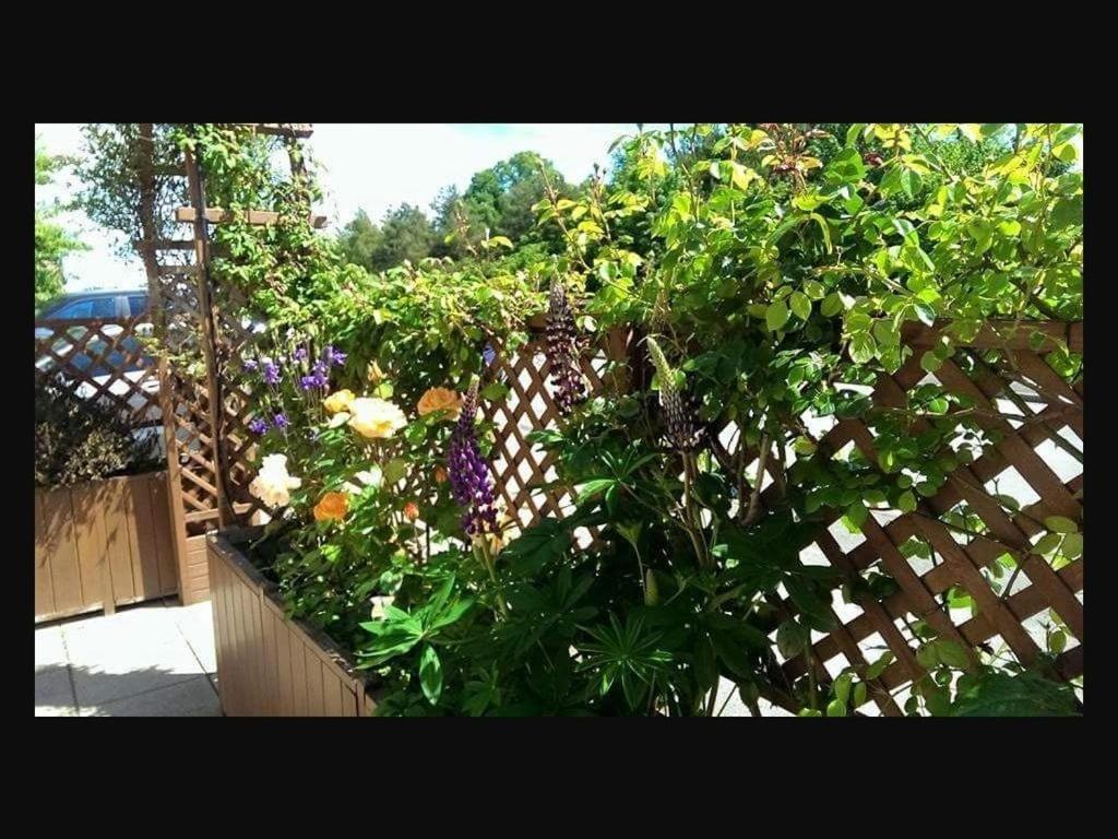 เดอะ โอลด์ เบล Bed & Breakfast ชรูว์สเบอรี ภายนอก รูปภาพ